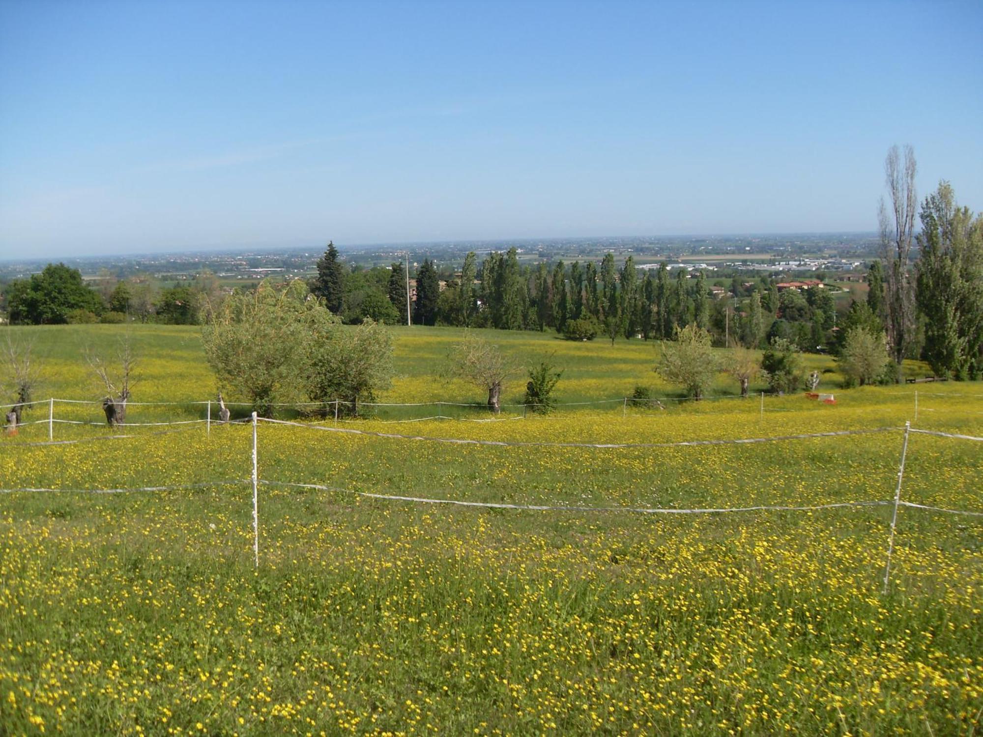 Agriturismo Montevecchio Isolani Monte San Pietro Exteriér fotografie