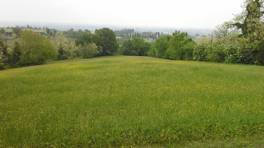 Agriturismo Montevecchio Isolani Monte San Pietro Exteriér fotografie