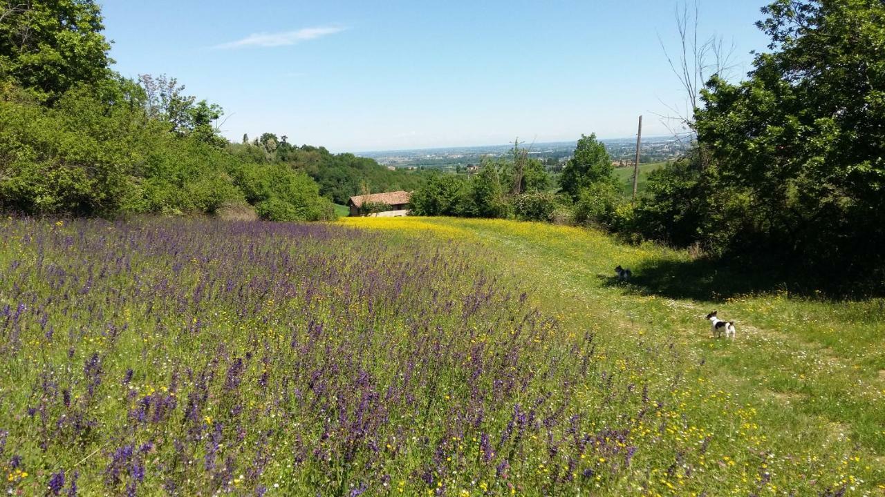 Agriturismo Montevecchio Isolani Monte San Pietro Exteriér fotografie