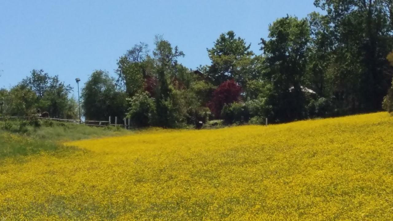 Agriturismo Montevecchio Isolani Monte San Pietro Exteriér fotografie